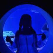 ヒメ日記 2025/09/29 23:22 投稿 せいな CECIL