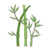 ヒメ日記 2025/10/13 22:54 投稿 せいな CECIL