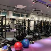 ヒメ日記 2025/11/23 17:26 投稿 せいな CECIL