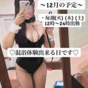 ヒメ日記 2025/11/27 00:28 投稿 せいな CECIL