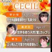 ヒメ日記 2025/11/29 20:37 投稿 せいな CECIL