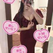 ヒメ日記 2026/02/12 22:45 投稿 せいな CECIL