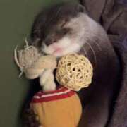 ヒメ日記 2026/02/14 22:10 投稿 せいな CECIL