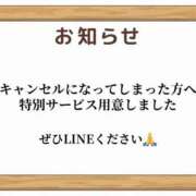 ヒメ日記 2026/02/17 19:59 投稿 せいな CECIL