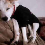 ヒメ日記 2026/02/21 13:20 投稿 せいな CECIL