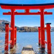 ヒメ日記 2026/02/22 12:45 投稿 せいな CECIL