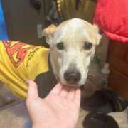 ヒメ日記 2026/02/23 17:49 投稿 せいな CECIL