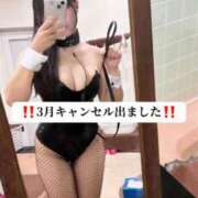 ヒメ日記 2026/03/03 21:14 投稿 せいな CECIL