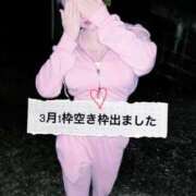 せいな 3月ラスト1枠 CECIL