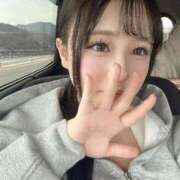 ヒメ日記 2026/03/23 08:13 投稿 せいな CECIL