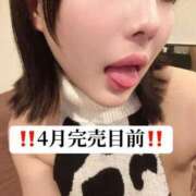 ヒメ日記 2026/04/14 22:30 投稿 せいな CECIL