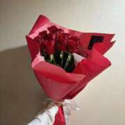 ヒメ日記 2026/04/24 13:24 投稿 せいな CECIL