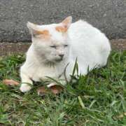 ヒメ日記 2026/06/20 08:10 投稿 せいな CECIL
