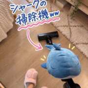 ヒメ日記 2026/10/15 18:31 投稿 せいな CECIL