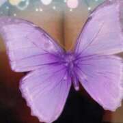 ヒメ日記 2026/03/20 16:18 投稿 清水 熟女の風俗最終章 横浜本店