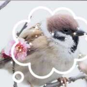 ヒメ日記 2026/03/23 16:34 投稿 清水 熟女の風俗最終章 横浜本店