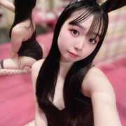 ヒメ日記 2025/10/24 12:16 投稿 ゆな JAPAN CLUB BUNNY LOUNGE