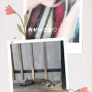 ヒメ日記 2025/07/20 22:39 投稿 岩下 鶯谷デッドボール