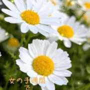 ヒメ日記 2025/07/29 18:09 投稿 岩下 鶯谷デッドボール