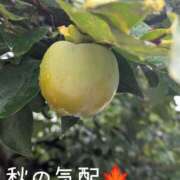 ヒメ日記 2025/09/05 16:09 投稿 岩下 鶯谷デッドボール