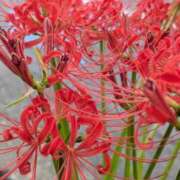 ヒメ日記 2025/10/03 14:59 投稿 岩下 鶯谷デッドボール