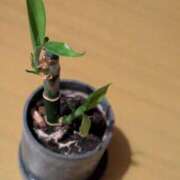 ヒメ日記 2025/10/09 20:19 投稿 岩下 鶯谷デッドボール