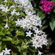 ヒメ日記 2025/10/16 16:59 投稿 岩下 鶯谷デッドボール