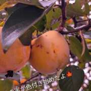 ヒメ日記 2025/10/29 11:20 投稿 岩下 鶯谷デッドボール