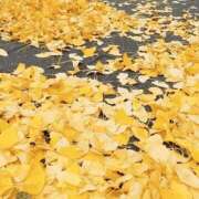 岩下 11月29日のありがとう💗 鶯谷デッドボール