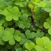 ヒメ日記 2025/12/15 09:19 投稿 岩下 鶯谷デッドボール