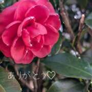 ヒメ日記 2025/12/28 19:55 投稿 岩下 鶯谷デッドボール