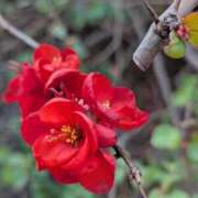 ヒメ日記 2026/01/11 11:29 投稿 岩下 鶯谷デッドボール