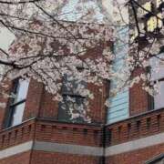 ヒメ日記 2026/04/02 20:35 投稿 岩下 鶯谷デッドボール