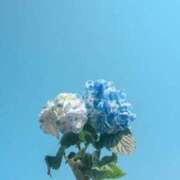 ヒメ日記 2025/07/20 12:28 投稿 れみ 茨城神栖ちゃんこ