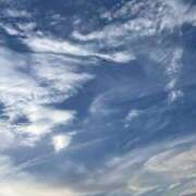 ヒメ日記 2025/07/29 21:29 投稿 れみ 茨城神栖ちゃんこ