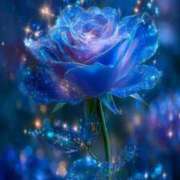 ヒメ日記 2025/09/12 18:44 投稿 れみ 茨城神栖ちゃんこ