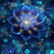 ヒメ日記 2025/12/23 13:08 投稿 れみ 茨城神栖ちゃんこ