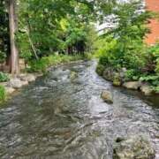 ヒメ日記 2025/05/24 17:43 投稿 一峰菜々緒 札幌ソフィア