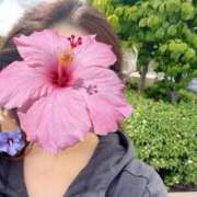 ヒメ日記 2025/05/26 10:19 投稿 一峰菜々緒 札幌ソフィア