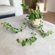 ヒメ日記 2025/05/28 08:42 投稿 一峰菜々緒 札幌ソフィア