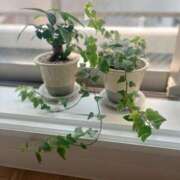 ヒメ日記 2025/05/29 10:03 投稿 一峰菜々緒 札幌ソフィア