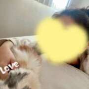 ヒメ日記 2025/05/30 06:42 投稿 一峰菜々緒 札幌ソフィア