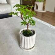 ヒメ日記 2025/05/31 09:33 投稿 一峰菜々緒 札幌ソフィア