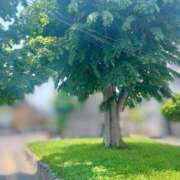 ヒメ日記 2025/06/01 12:33 投稿 一峰菜々緒 札幌ソフィア