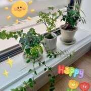 ヒメ日記 2025/07/01 09:12 投稿 一峰菜々緒 札幌ソフィア