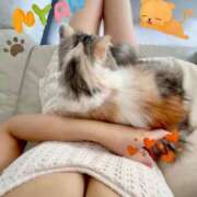 ヒメ日記 2025/07/02 11:03 投稿 一峰菜々緒 札幌ソフィア