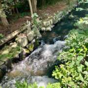 ヒメ日記 2025/07/30 13:54 投稿 一峰菜々緒 札幌ソフィア