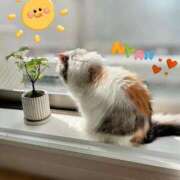 ヒメ日記 2025/08/02 10:36 投稿 一峰菜々緒 札幌ソフィア