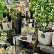 ヒメ日記 2025/09/24 17:12 投稿 一峰菜々緒 札幌ソフィア