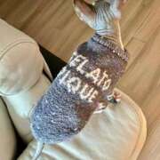 ヒメ日記 2025/10/18 18:48 投稿 一峰菜々緒 札幌ソフィア